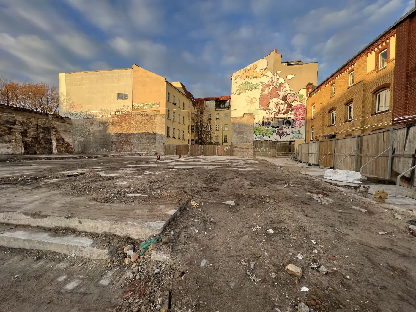 Geräumtes Grundstück Schwiebusser Straße 16